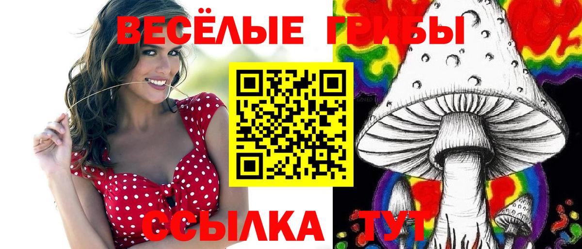 Галлюциногенные грибы мицелий  Вход с VPN  Ишим 